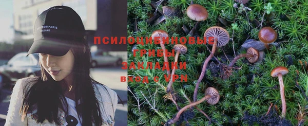 амф Алексеевка