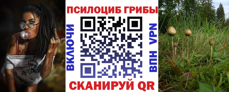 Псилоцибиновые грибы мухоморы  mega маркетплейс  Ишим 
